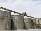 مركز بني عبيد بالدقهلية: الصوامع جاهزة لاستقبال القمح وصرف المستحقات المالية 