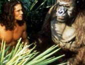5 معلومات عن جو لارا بطل Tarzan بعد وفاته فى حادث طائرة
