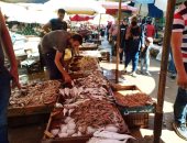 "الميدان" أشهر سوق لبيع الأسماك فى الإسكندرية.. الموزة بـ20 جنيها.. فيديو وصور