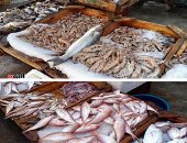 تعرف على أسعار الأسماك اليوم بسوق العبور للجملة
