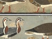 هل هذه اللوحة الجدارية المصرية القديمة تصور أنواعًا منقرضة من الأوز؟