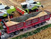 من الحقل للصومعة.. تقنيات الميكنة الزراعية فى حصاد القمح الصينى