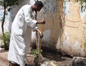 محافظ قنا يكافئ مواطن بـ5 آلاف جنيه لتطوعه بتنظيف وتجميل الشارع.. صور