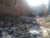 صلاح من طنطا يناشد برفع القمامة من خلف منزله بشارع كفر عصام.. ورئيس المدينة يرد