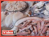 من داخل سوق المنيب.. أسعار السمك تبدأ من 30 جنيها