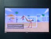 المطارات المصرية تشارك فى حملة حماية البيئة البحرية بالبحر الأحمر.. صور