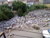 قارئة تشكو من تراكم القمامة فى قرية البيضا بالبحيرة.. والمحافظة ترد