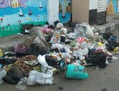 سكان شارع الميهى بمدينة طنطا يطالبون برفع القمامة.. ورئيس الحى يستجيب