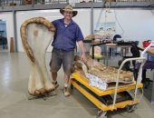 ديناصور العصر الطباشيرى.. أستراليا تكتشف عظاما مدفونة من 96 مليون عام "ألبوم صور"
