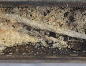 اكتشاف قطعة من شمع العسل تعود لــ 500 عام.. استخدمت لإنارة الطريق للفايكنج