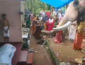 الصديق الوفي.. فيل يودع مدربه ويشارك فى مراسم جنازته بعد صداقة 25 عامًا.. فيديو