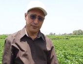 "جيزة 94".. أجود أنواع القطن المصرى مصدر صناعة الملابس.. لايف