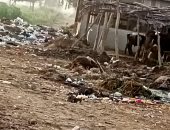أهالى قرية اريمون بكفر الشيخ يشكون من انتشار القمامة والمخلفات.. ورئيس المدينة يرد