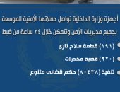 الداخلية تضبط 191 قطعة سلاح و220 قضية مخدرات "إنفو جراف"