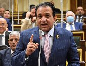 نائب رئيس البرلمان العربى يوجه التهنئة للمرأة المصرية: اهتمام الدولة بها غير رؤية العالم لمصر