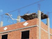 أهالى قرية شعشاع بالمنوفية يطالبون بتغيير أسلاك الضغط العالى ..ورئيس المدينة يرد