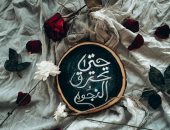 "جنى" تشارك اليوم السابع بموهبتها فى التصوير الفوتوغرافى 