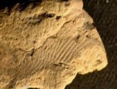 باحثون يرفعون بصمات اكتشفت على قطعة حجرية تعود لـ5000 فى اسكتلندا