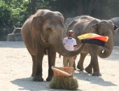 يورو 2020.. الفيل ياشودا يتوقع فوز منتخب المانيا على البرتغال