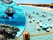 لو عايز تصيف فى الغردقة.. تعرف على أنواع الرحلات البحرية وكيفية حجز رحلة وأسعارها.. "السنوركلنج" والسباحة بالقرب من شواطئ الجفتون الأكثر طلبا.. الغوص للمحترفين والصيد للهواة.. ومتعة خاصة باللعب مع الدولفين..صور