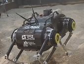 تعرف على أول روبوت يمكنه السير بأربع أرجل على سطح المريخ.. صور وفيديو
