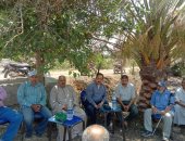 الزراعة تنظم مدرسة حقلية للنخيل فى مركز فاقوس بمحافظة الشرقية