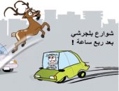 كاريكاتير سعودي يحذر من القيادة المتهورة فى "الباحة" بسبب الوعول الجبلية