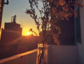 "منة" تشارك صحافة المواطن بصور تبرز موهبتها فى التصوير