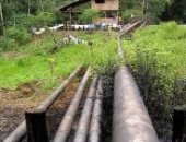 الاكوادور تكثف من التنقيب عن النفط فى منطقة الأمازون