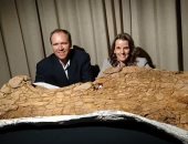 الكشف عن عظام أحد أكبر ديناصورات العالم بعد مهمة استكشاف استمرت 15 عاما.. صور