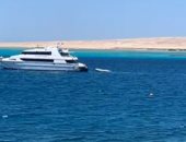 سحر الطبيعة الخلابة والمياه الفيروزية فى جزيرة الجفتون بالبحر الأحمر.. رحلات تبدأ من 300 لـ 1000 جنيه للاستمتاع بالسنوركلنج ومشاهدة الكائنات البحرية.. وتناول الغداء على متن لانش الأكثر طلبا.. فيديو