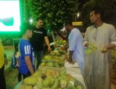 افتتاح مهرجان مانجو أسوان لتسويق 100 ألف طن.. صور