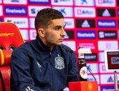يورو 2020.. فيران توريس يكشف دور إنريكي المحوري مع منتخب إسبانيا
