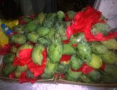 14 معلومة عن مهرجان تسويق مانجو الجنوب فى أسوان.. صور