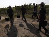 مدينة إيطالية تحظر العمل فى أيام الحر الشديد بعد وفاة مزارع