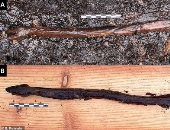 العثور على عصا على شكل ثعبان بفنلندا عمرها 4400 عام.. هل استخدمت فى السحر؟