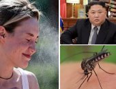 العالم هذا الصباح.. وفاة 34 شخصا خلال يومين فى فانكوفر الكندية بسبب الحر الشديد.. الصين تعلن القضاء على الملاريا بعد مكافحة استمرت 70 عاماً.. وألمانيا تعلن إنهاء عملية سحب قواتها بالكامل من ​أفغانستان