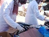 بيطرى الشرقية يحرر 122 محضرا ويضبط 13.5 طن لحوم ودواجن ومصنعات مخالفة