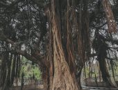 "تسنيم" توثق موهبتها فى فن التصوير الفوتوغرافى بتصوير الأماكن المميزة