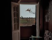 "مصطفى فلاش".. شاب من الغربية يشارك صحافة المواطن ببعض صوره الفوتوغرافية