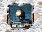 "معاذ" بكلية المريض كفر الشيخ يشارك صحافة المواطن عددا من الصور