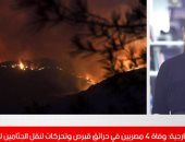 الخارجية تعلن تفاصيل وفاة 4 مواطنين مصريين في حرائق قبرص.. فيديو