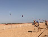 سباق الهجن بالعلمين يجمع ثقافة غرب مصر بشرقها على الساحل الشمالى.. عادات وتقاليد أهل الصحراء القديمة تعود من جديد تحت الخيام.. وتسابق فى إظهار الكرم وإحياء الموروث.. أبونمر: إحياء التواصل بين أبناء الوطن الواحد