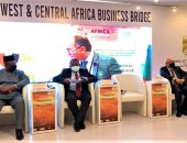 43 مليون دولار حجم التبادل التجارى بين مصر والكاميرون خلال 2020 بنسبة زيادة6%