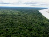 كيف تلعب الغابات دورا أساسيا فى مواجهة التغير المناخى.. فيديو