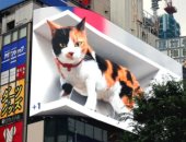 قطة تستحوذ على شاشة إعلانات عملاقة فى طوكيو.. اعرف حكايتها "فيديو"