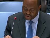 ممثل الكونغو الديمقراطية بمجلس الأمن: سد النهضة يمثل مشاكل لمصر والسودان