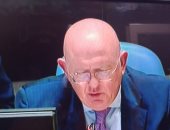 مندوب روسيا بمجلس الأمن: يجب التوصل لاتفاق حول سد النهضة ونتفهم قلق مصر والسودان