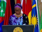 رئيس الدورة السابقة للتعاون الإسلامى: نشكر الرئيس السيسي لمشاركته بالمؤتمر