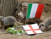 السرقاط يتوقع فوز إنجلترا على إيطاليا في نهائي يورو 2020